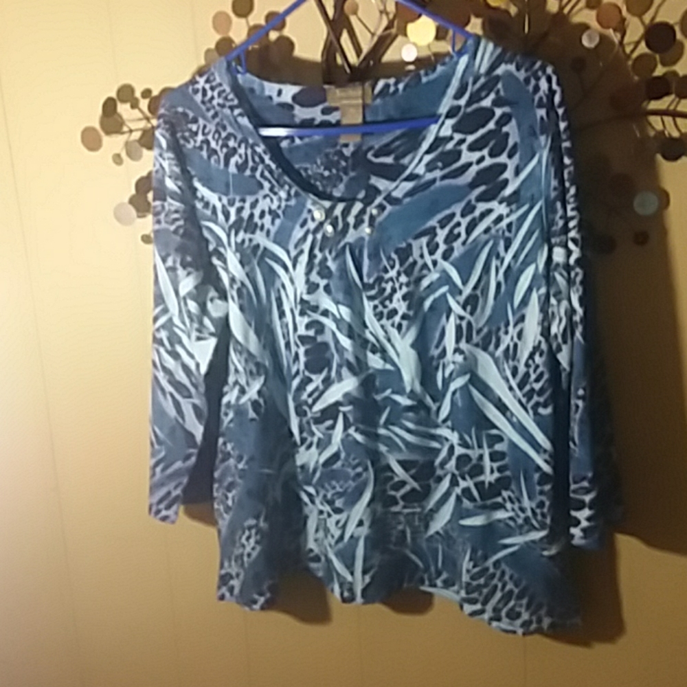 Jane Ashley Top